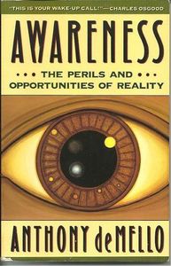 Cover of Awareness: The Perils and Opportunities of Reality